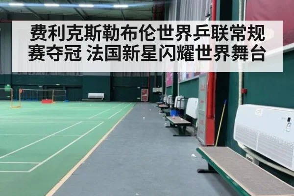 费利克斯勒布伦世界乒联常规赛夺冠 法国新星闪耀世界舞台