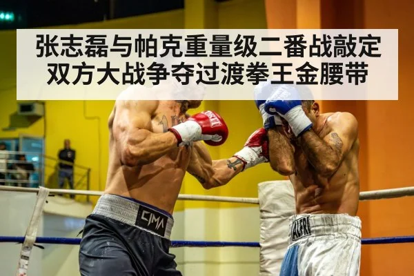 张志磊与帕克重量级二番战敲定 双方大战争夺过渡拳王金腰带