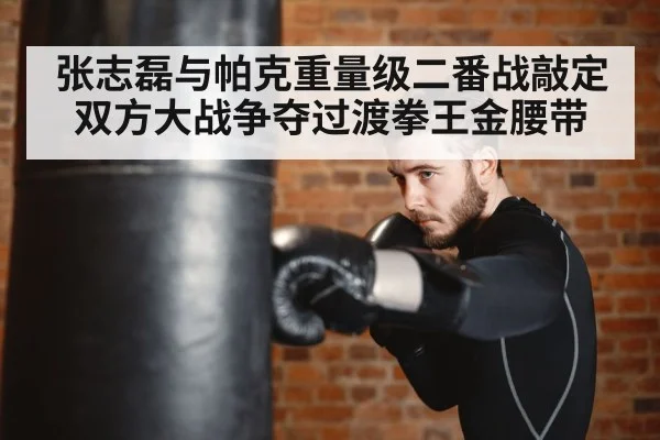 boxer training punching bag
